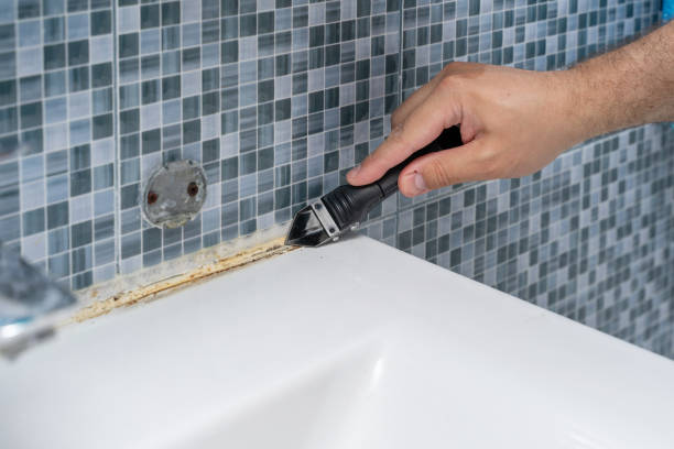 Best Black Mold Removal  in Los Ranchos, CA