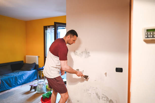 Best Same-Day Mold Removal  in Los Ranchos, CA